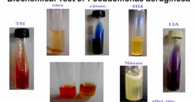 biochemical test of bacteria