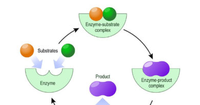 enzyme poisoning