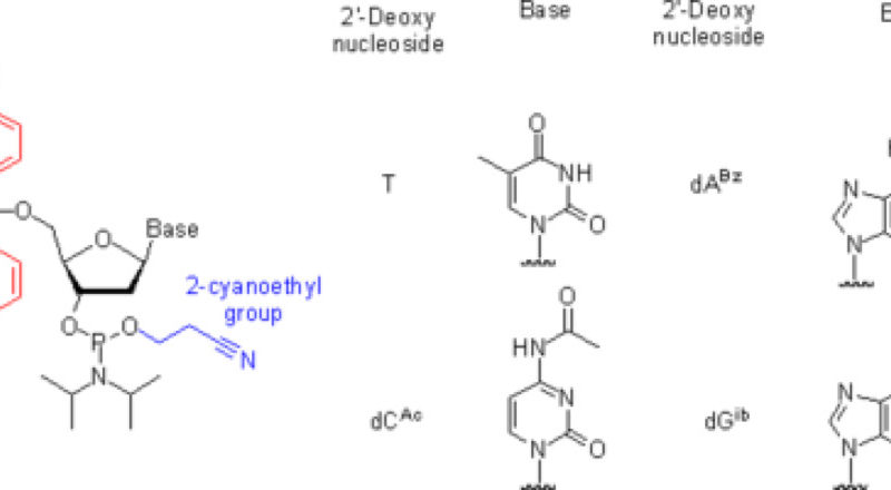 oligonucleotide synthesis
