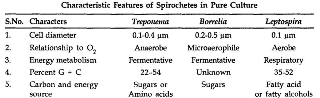 characteristic features of spirochetes in pure culture