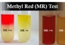 methyl red