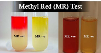 methyl red