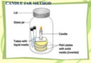 Cultivating Anaerobic Microbes using the Candle Jar Method