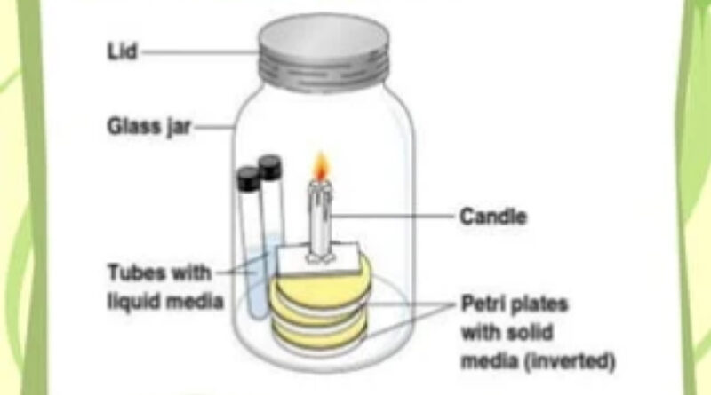 Cultivating Anaerobic Microbes using the Candle Jar Method