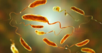 In the realm of infectious diseases, few have garnered as much attention and historical significance as Vibrio cholerae, the bacterium responsible for causing cholera.