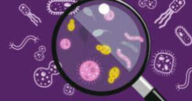 exploring microbiology, the unseen world of microbes.
