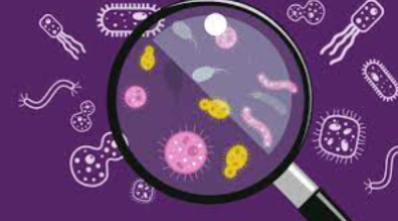 exploring microbiology, the unseen world of microbes.
