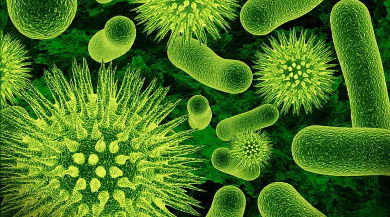 useful microbes