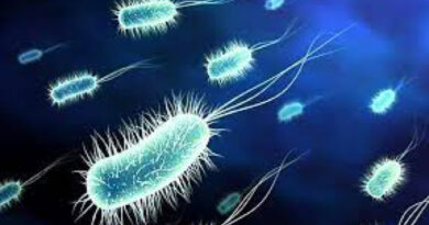 Salmonella is a well-known term for anyone who has ever heard of foodborne illnesses. This bacterium is responsible for a