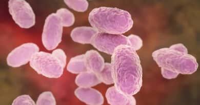 Bordetella, a genus of bacteria, has played a significant role in the realm of infectious diseases throughout history. Named after the pioneering microbiologist