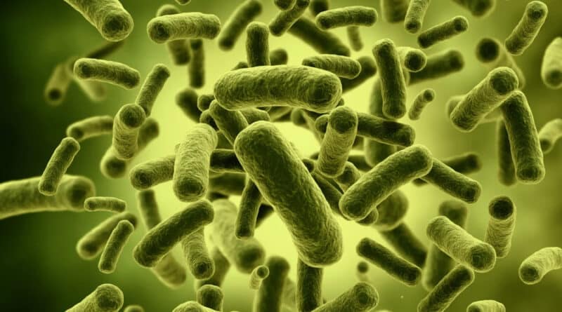Coliform bacteria are a group of microorganisms that are commonly used as indicators of water quality and sanitation. These bacteria do not cause illness