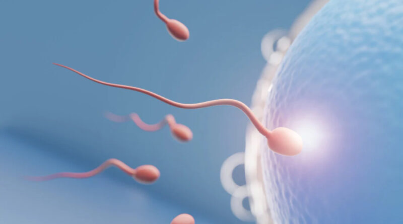 For many men, the health and quantity of their sperm play a crucial role in their fertility and overall reproductive health. Low sperm count can be a source of