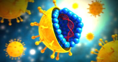 Herpesviruses are a family of DNA viruses that can cause various infections in humans and animals. These viruses are known for their ability to establish lifelong