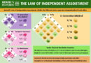 Mendel’s Law of independent assortment