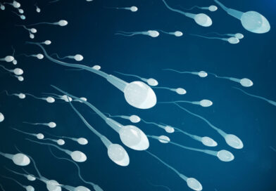 spermatogenesis is the formation of sperms in male reproductive organs.