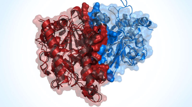 coiling and super coiling of protein