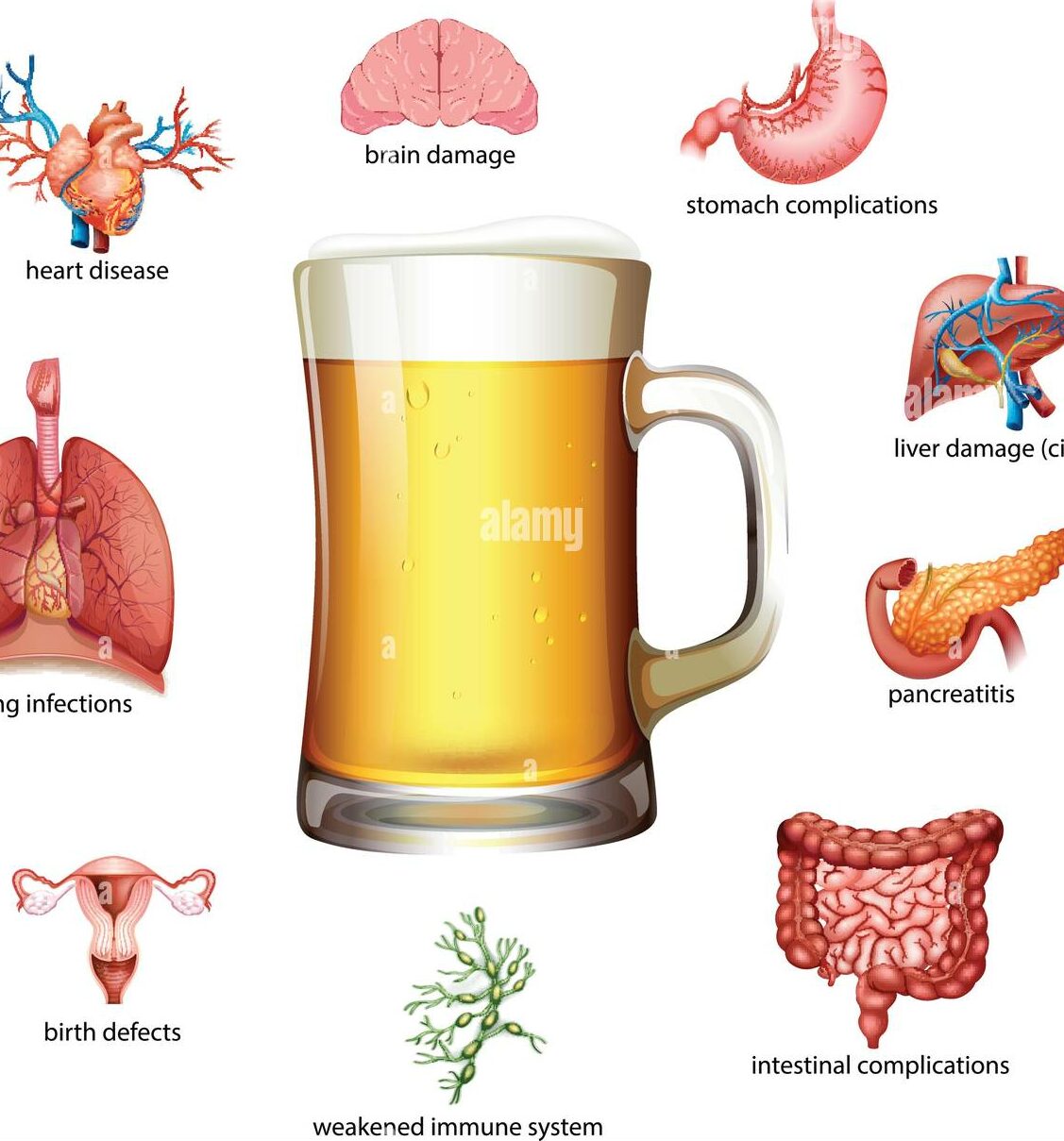 effects of alcohol on human health