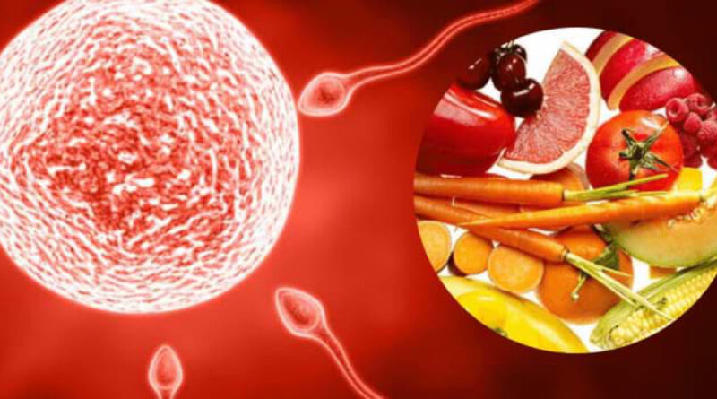 food to boost sperm count in human male.