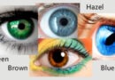 eye color inheritance in humans