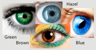eye color inheritance in humans