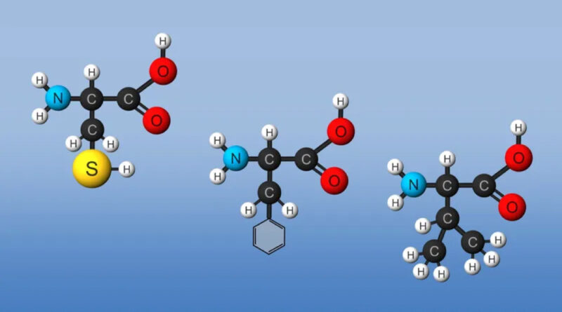 Amino Acid