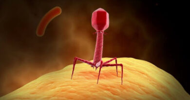 bacteriophage